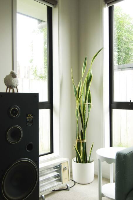House In Hamilton Villa Bagian luar foto